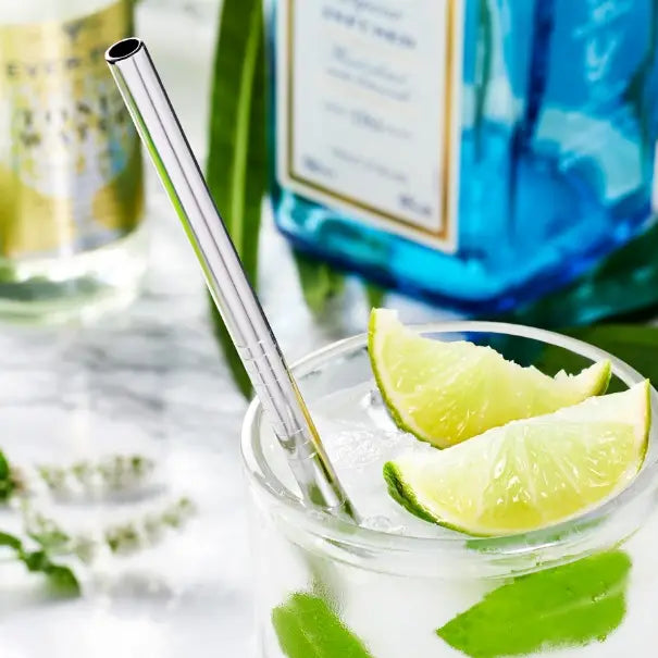 Silver Reusable Gin Straw (6 pcs)