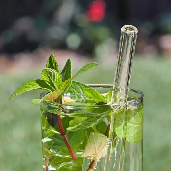 Reusable Transparent Glass Straw (6 pcs)