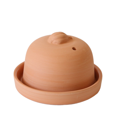 Terra Cotta Garlic Baker