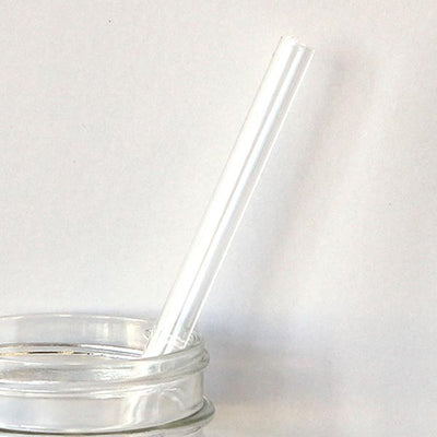 Reusable Transparent Glass Straw (6 pcs)