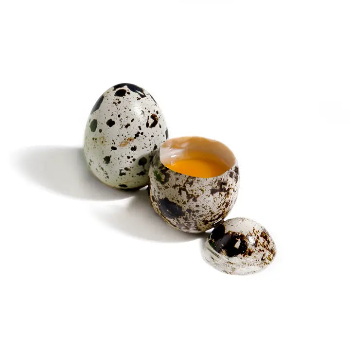 Quail's Egg Cutter