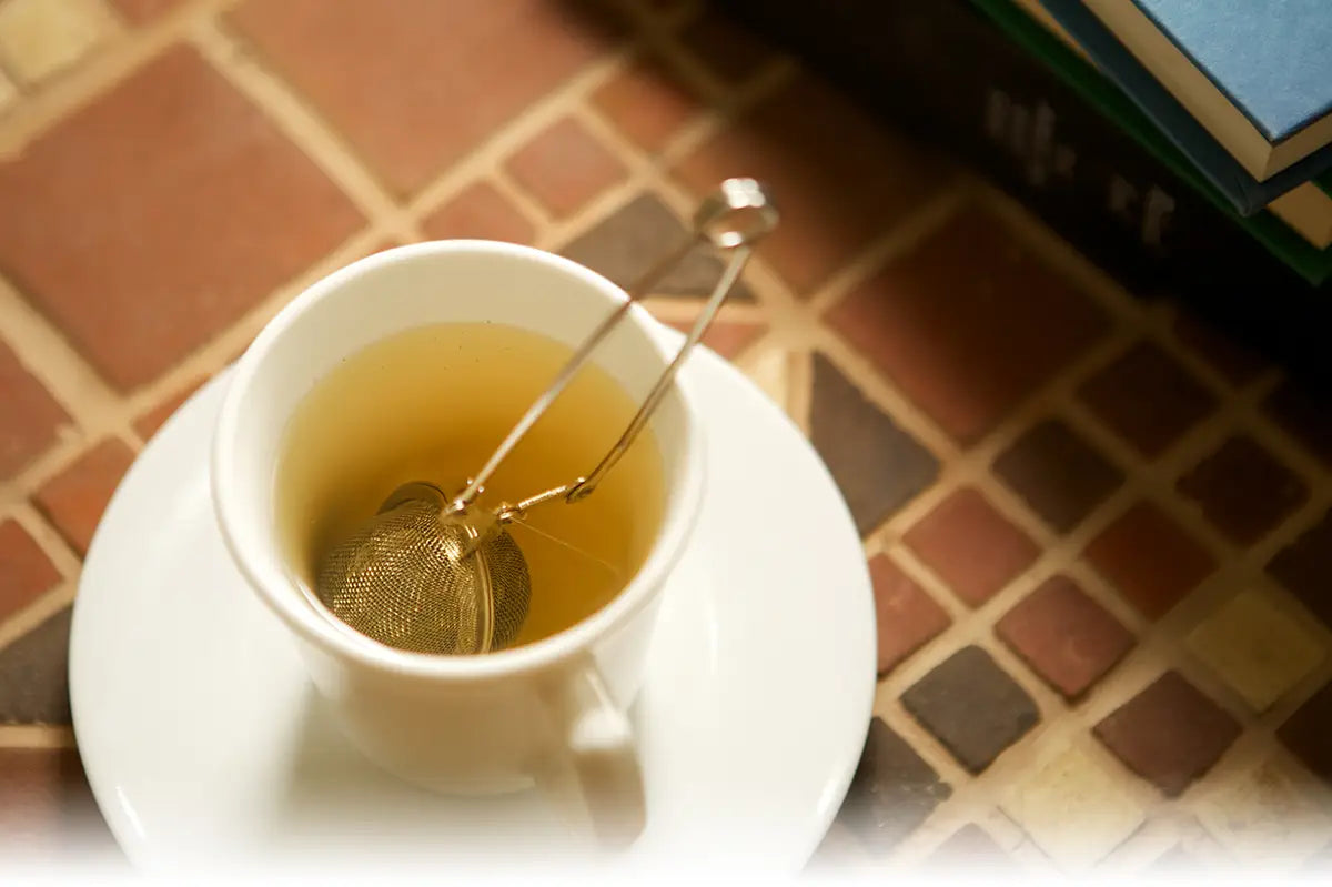 Spring Handle Tea Ball Infuser